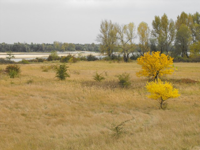 2009_1004tropienie_Stezyca_29.JPG