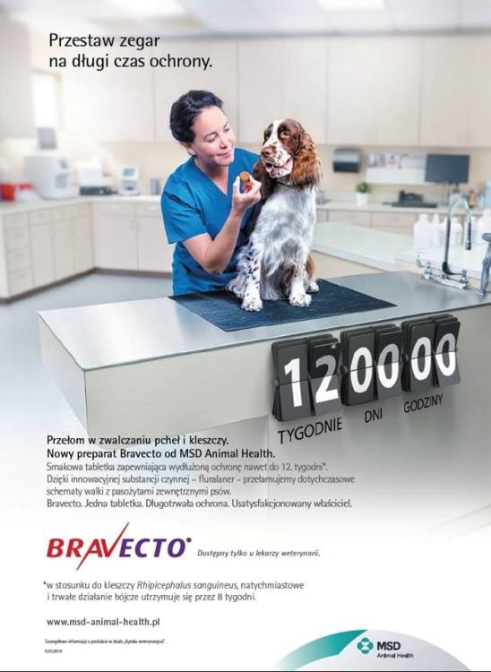 Bravecto.jpg