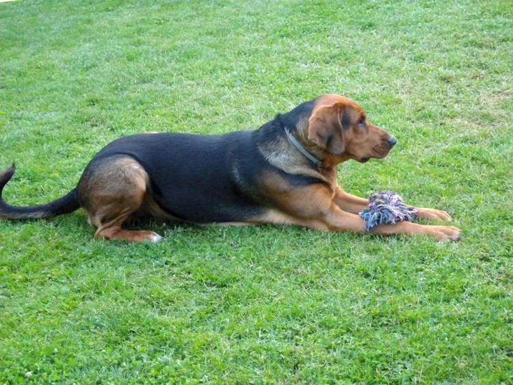 DSCN6434.JPG