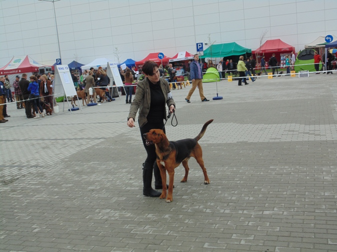 DSC00520.jpg