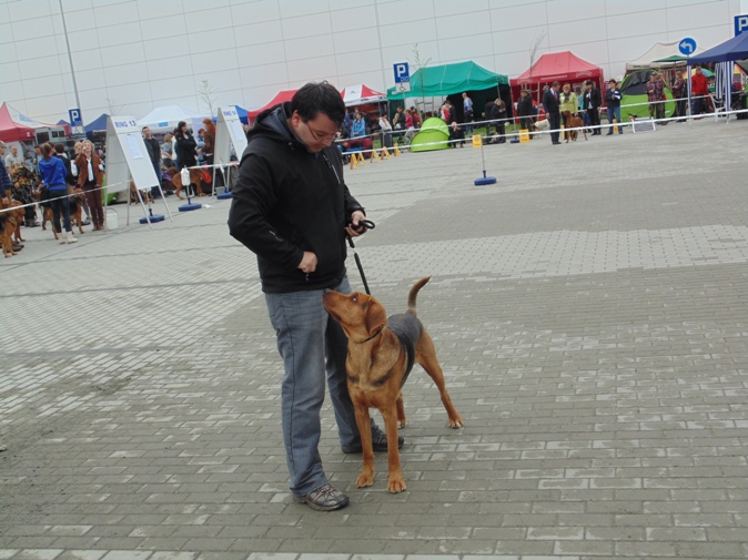 DSC00523.jpg