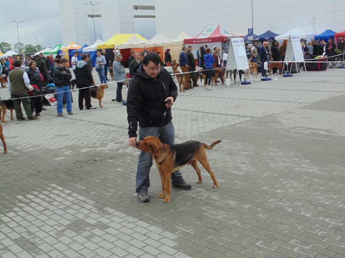 DSC00527.jpg