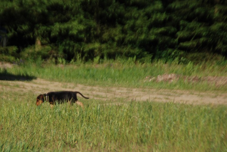 DSC_0226.JPG