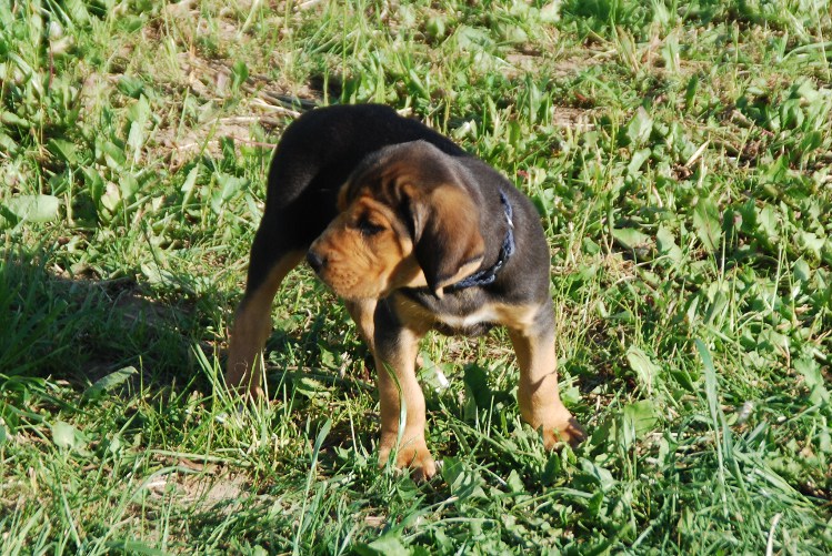 DSC_0117.JPG