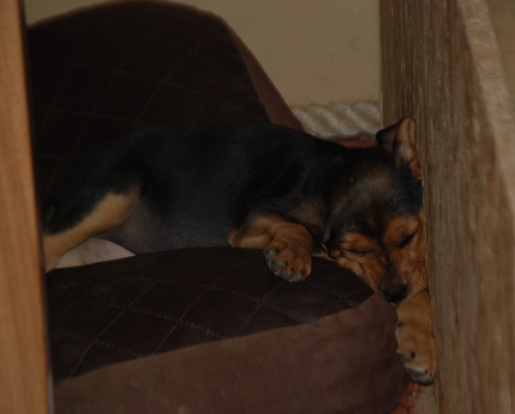 DSC_0111.JPG