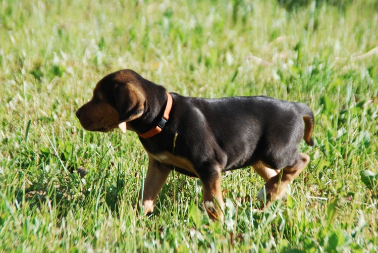 DSC_0124.JPG