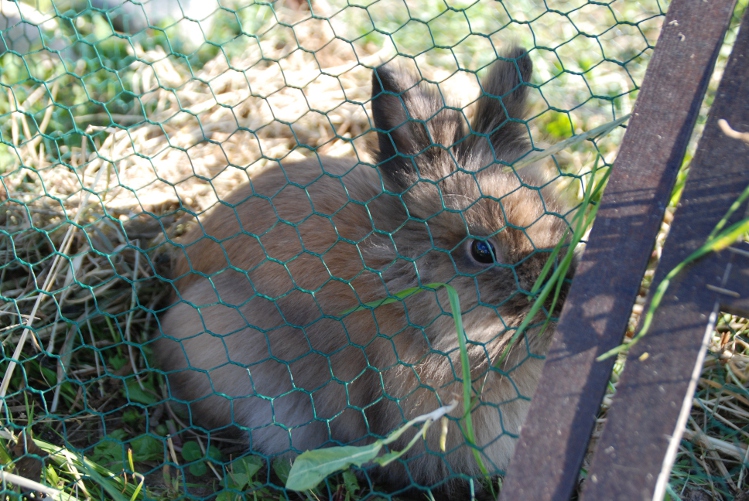 DSC_0229.JPG