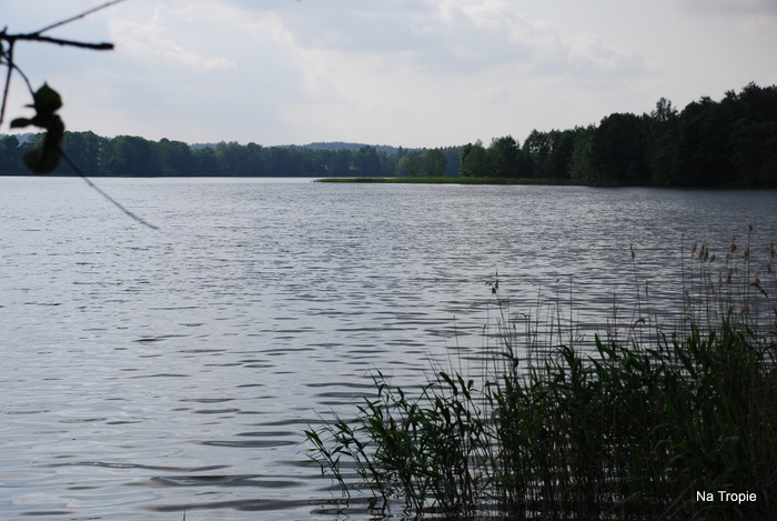 1-gostynin 2014 108.jpg