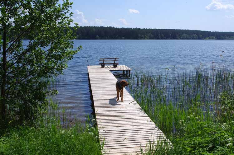 jezioro.jpg