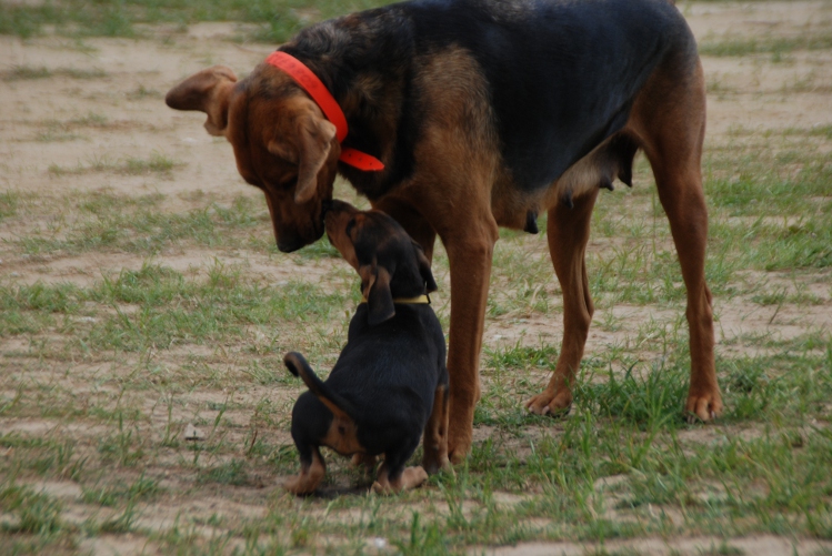 DSC_0115.JPG