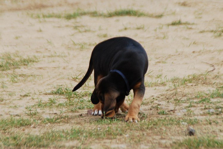 DSC_0106.JPG