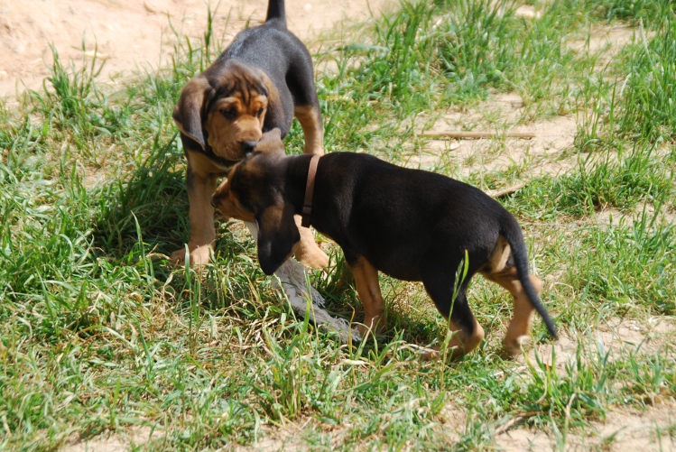 DSC_0057.JPG