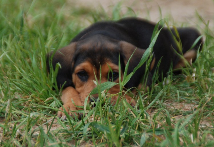 DSC_0079.JPG