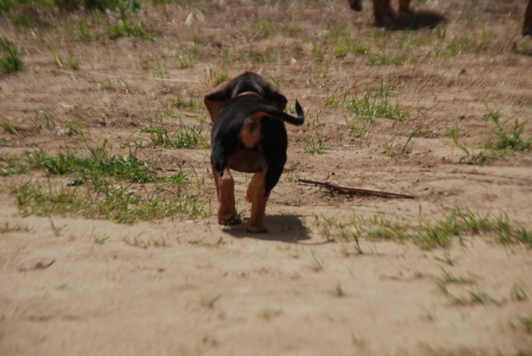 DSC_0085.JPG