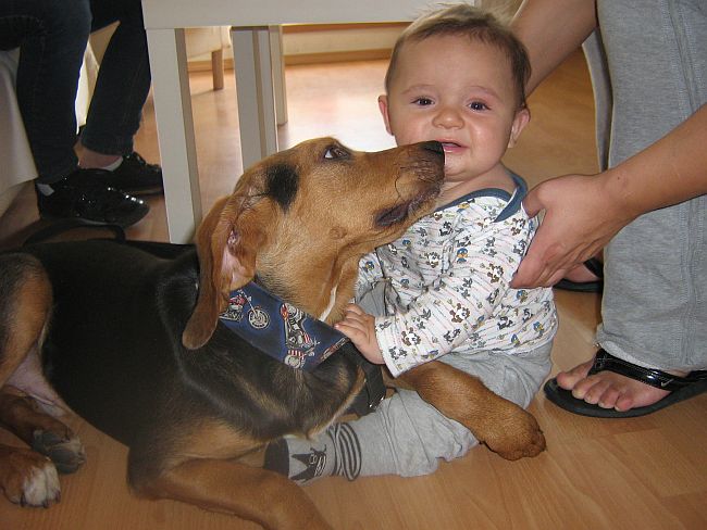 Buzi w nosek :)