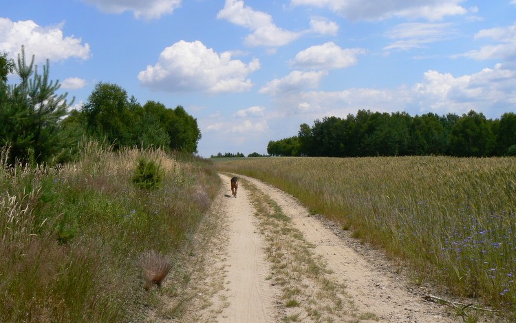 Czas powrotu,