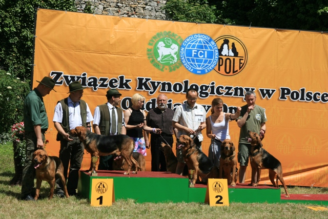 Najlepsze hodowle.