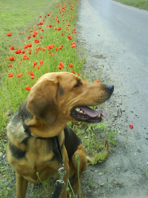 DSC01272_.jpg