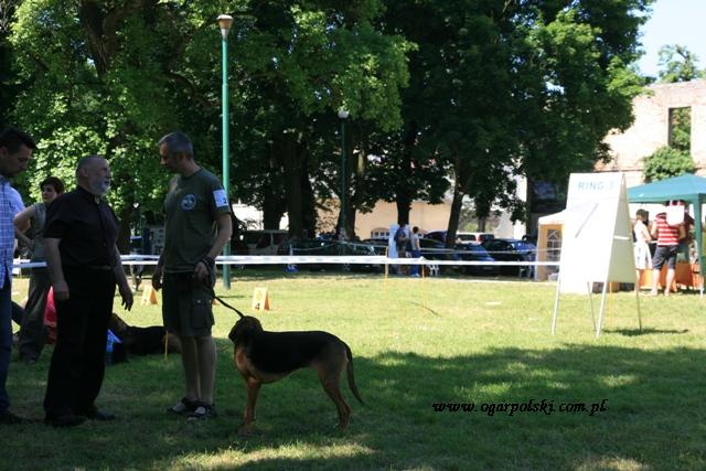 -Panie Tomku temu psu czasami należy dać jeść<br />- ja wiem, ale hodowca zabrania