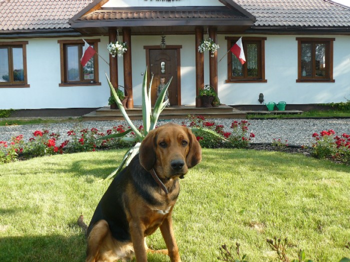 i jeszcze raz słodziak Husi i słodziaczek Gabi