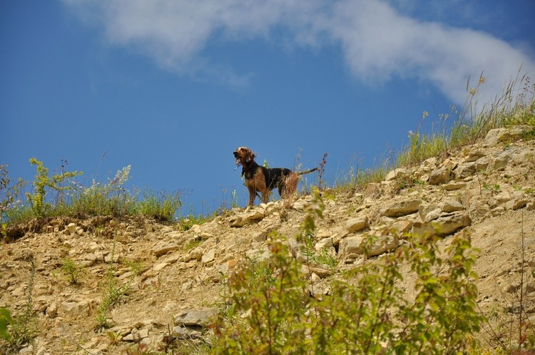 DSC_1369 b.jpg