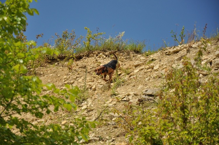 DSC_1371 b.jpg