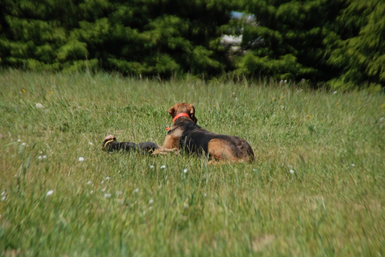 DSC_0062.JPG