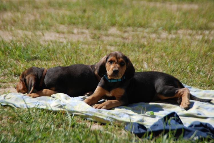 DSC_0057.JPG
