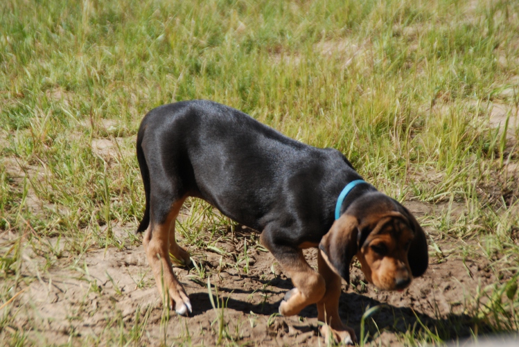 DSC_0072.JPG