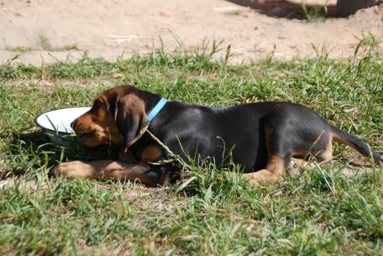 DSC_0079.JPG