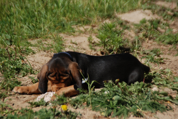 DSC_0065.JPG