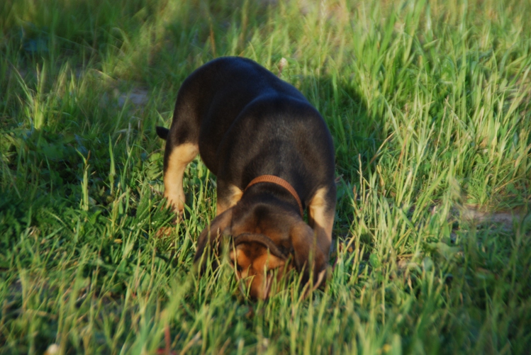 DSC_0107.JPG