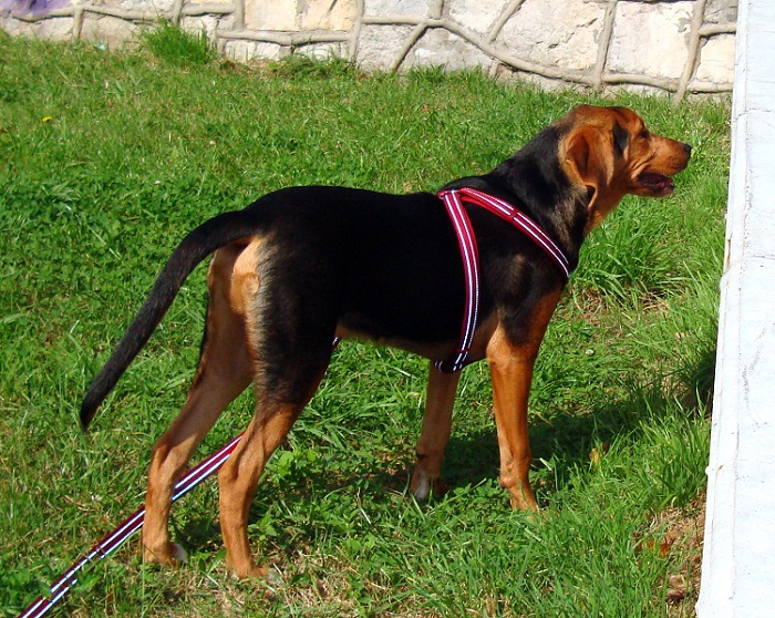 DSC07377.JPG
