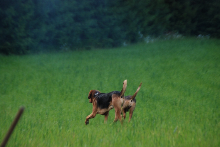 DSC_0144.JPG