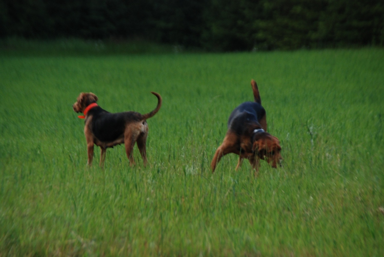 DSC_0141.JPG