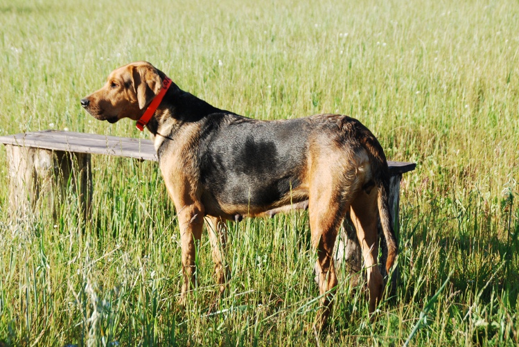 DSC_0274.JPG