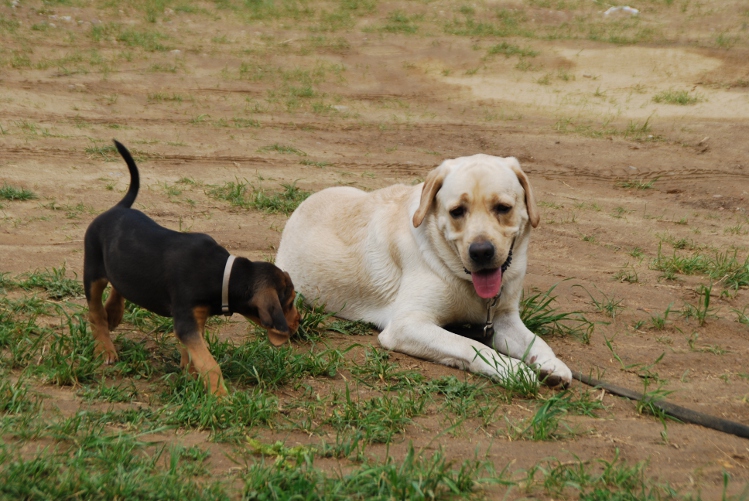 DSC_0013.JPG