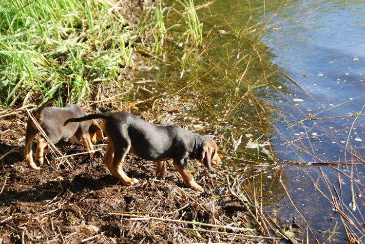 DSC_0062.JPG