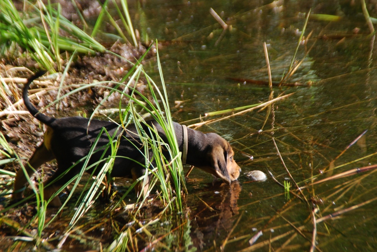 DSC_0067.JPG