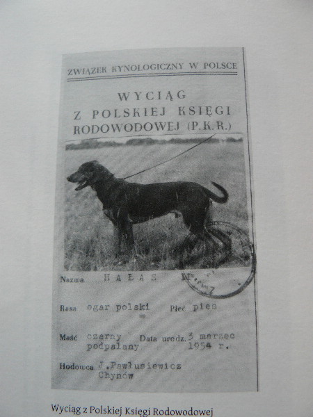 pawł. 001(1).jpg