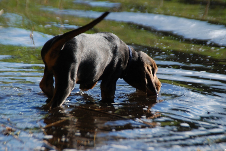DSC_0091.JPG