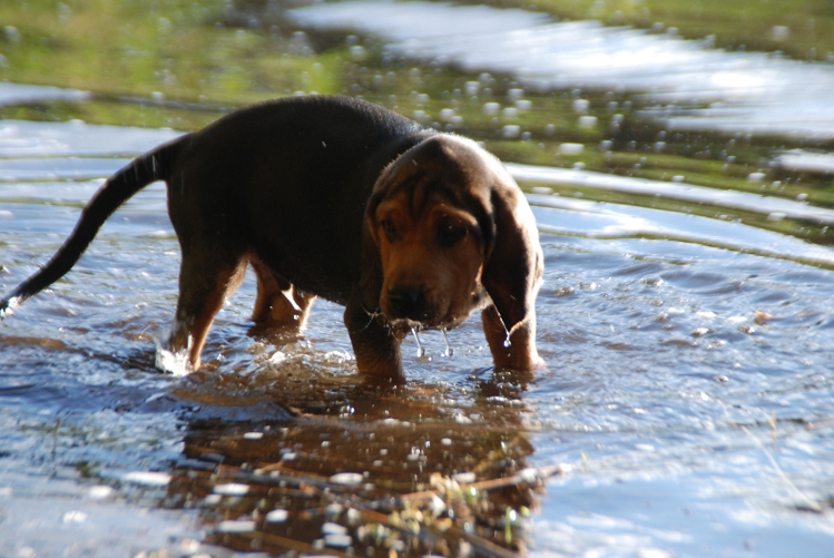 DSC_0092.JPG