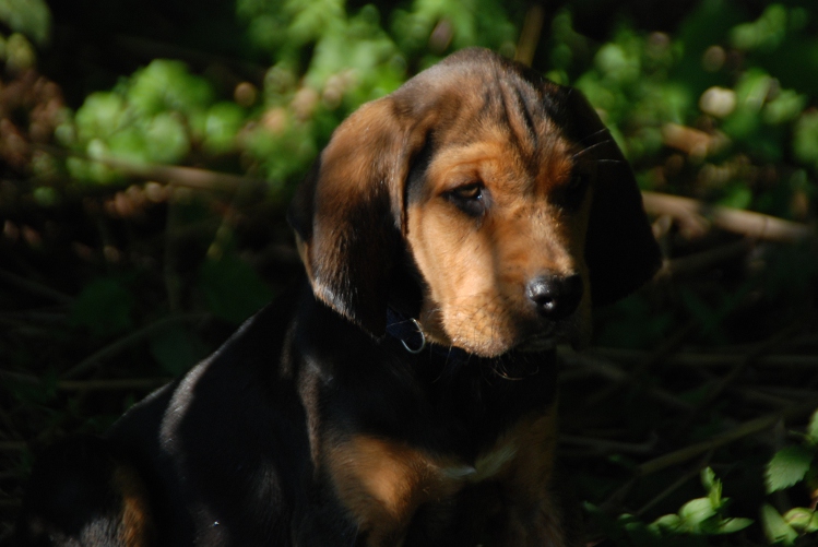DSC_0097.JPG