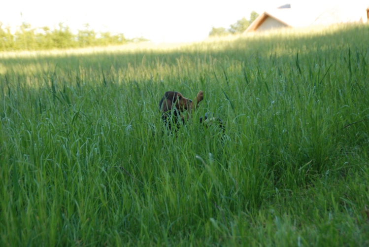 DSC_0205.JPG