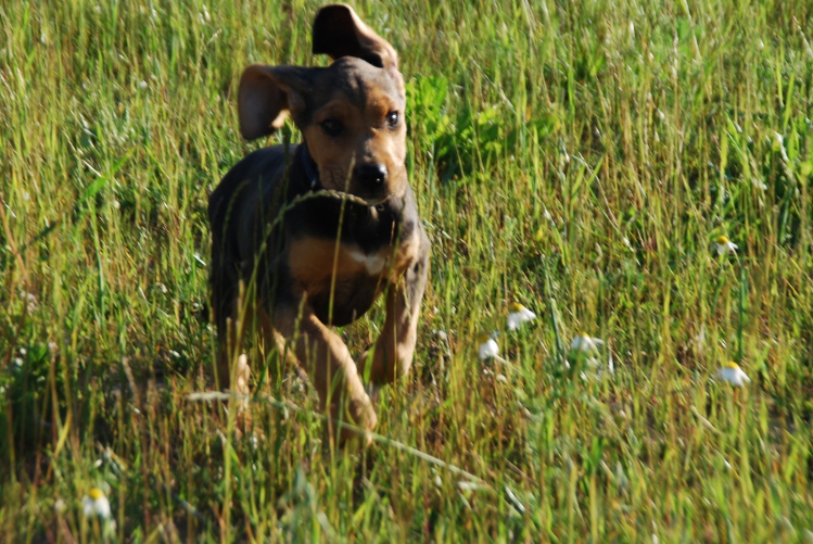 DSC_0282.JPG