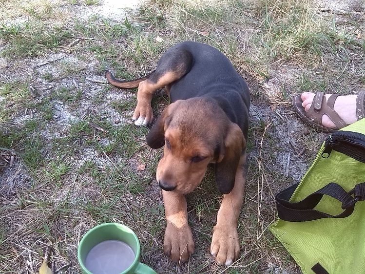 Co to za dziwna mała miska?