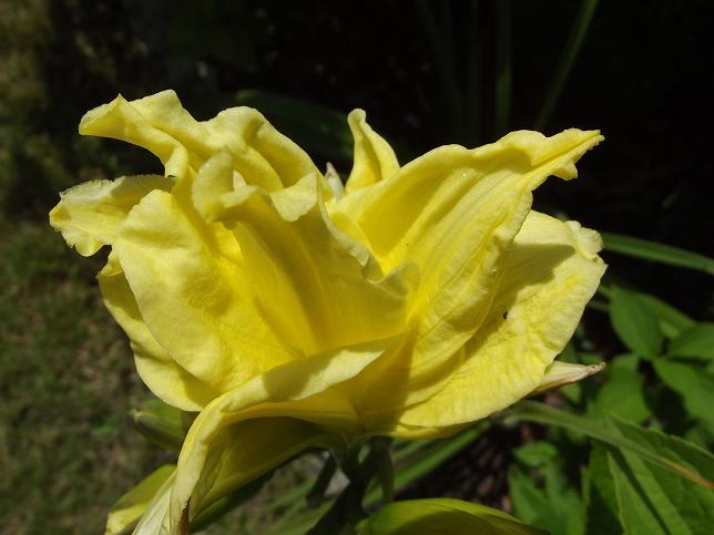 DSCF1514.JPG