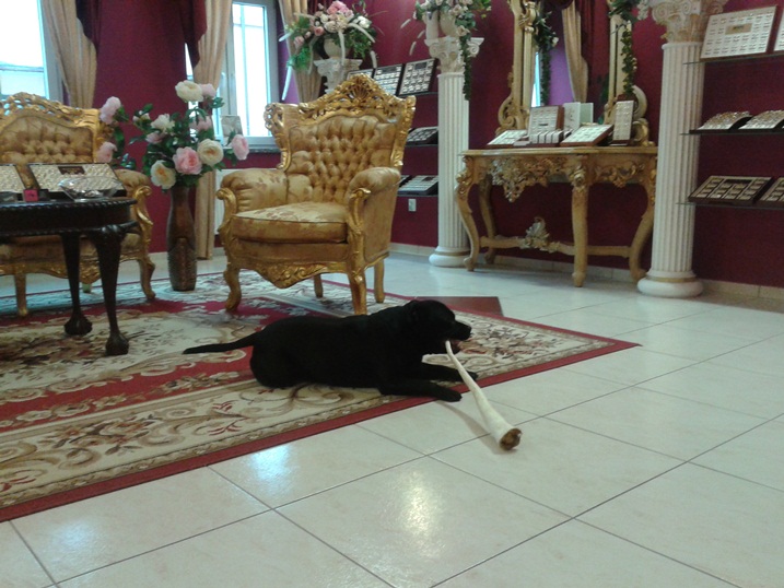 20140712_105132.jpg