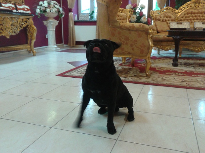 20140712_105009.jpg