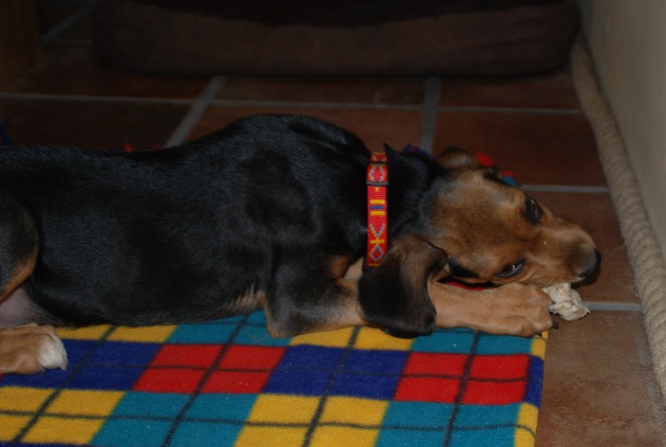 DSC_0006.JPG